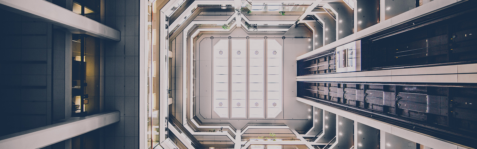 Panoramic Elevator